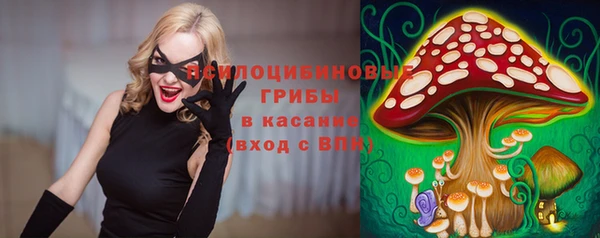 крисы Семилуки