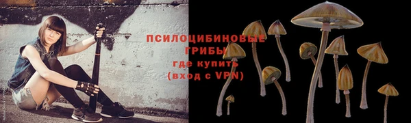 скорость Семикаракорск