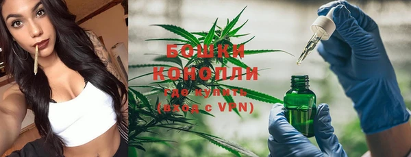 крисы Семилуки